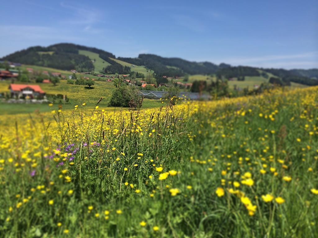 Sonnenhof - Ferienwohnung Oberstaufen Exteriör bild